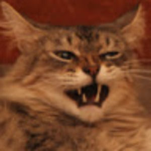 Meet your Posher, Harlot